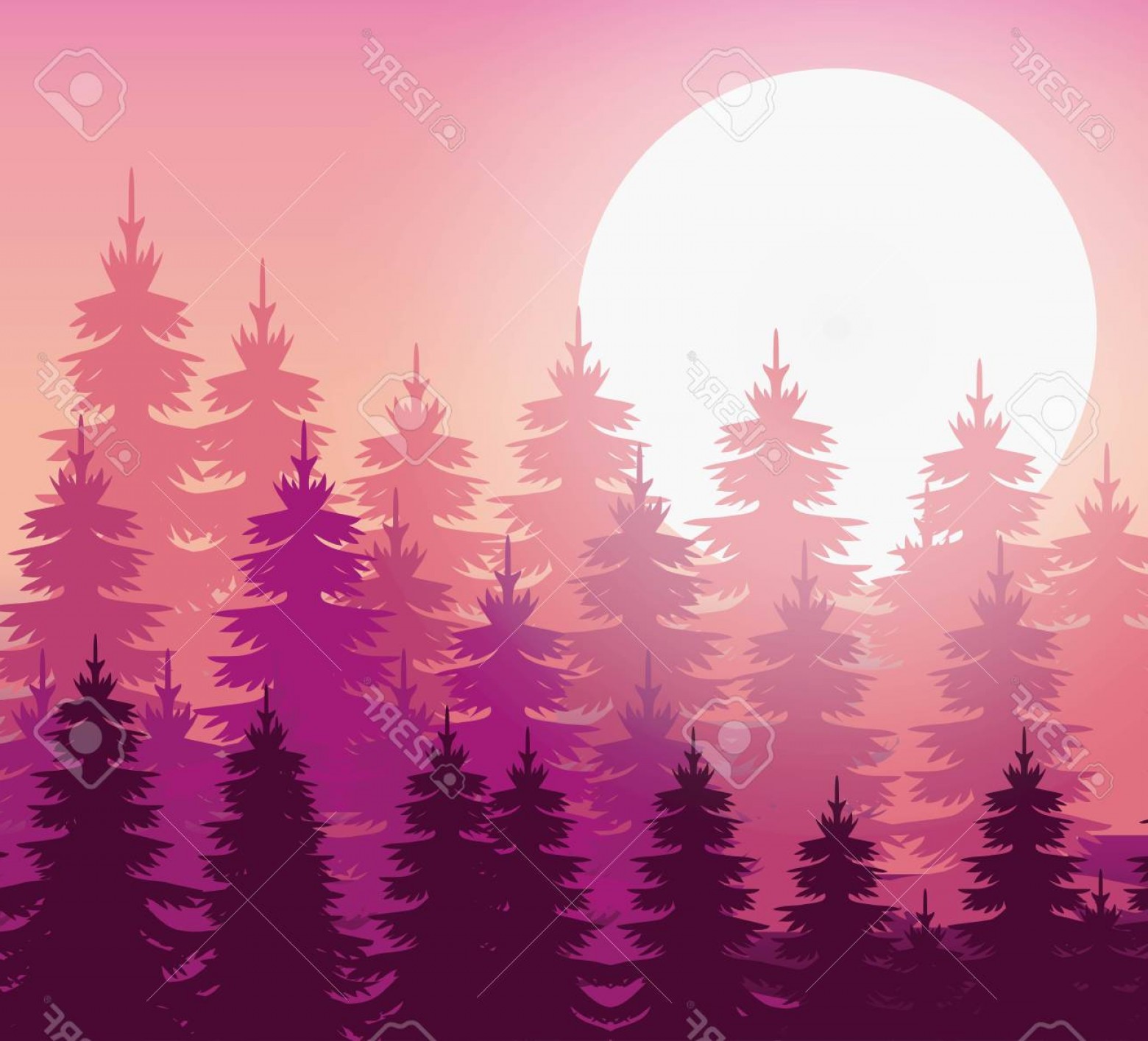 1560x1414 Forest Vector Graphic Sarahgardan