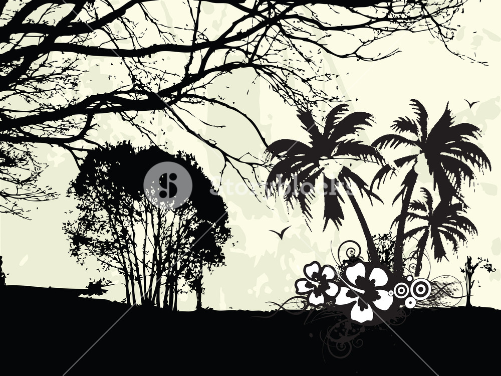 1000x750 Forest Vector Silhouette Royalty Free Stock Image