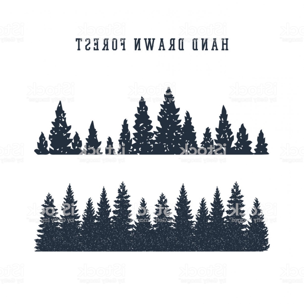 1228x1228 Hand Drawn Pine Forest Vector Illustration Gm Catchsplace
