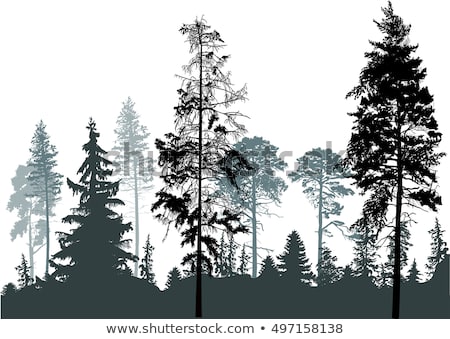 450x339 Huge Collection Of 'pine Forest Silhouette' Download More Than