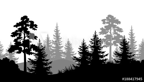 500x284 Seamless Horizontal Summer Forest With Pine, Fir Tree, Grass