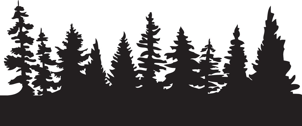 1165x487 Silhouette Forest Trees