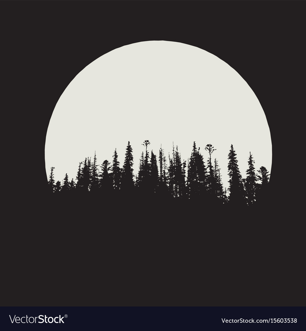 1000x1080 Silhouette Forest