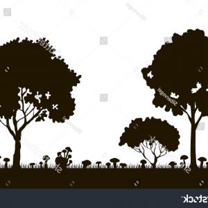 300x300 Stock Photo Forest Vector Background Landscape With Silhouettes