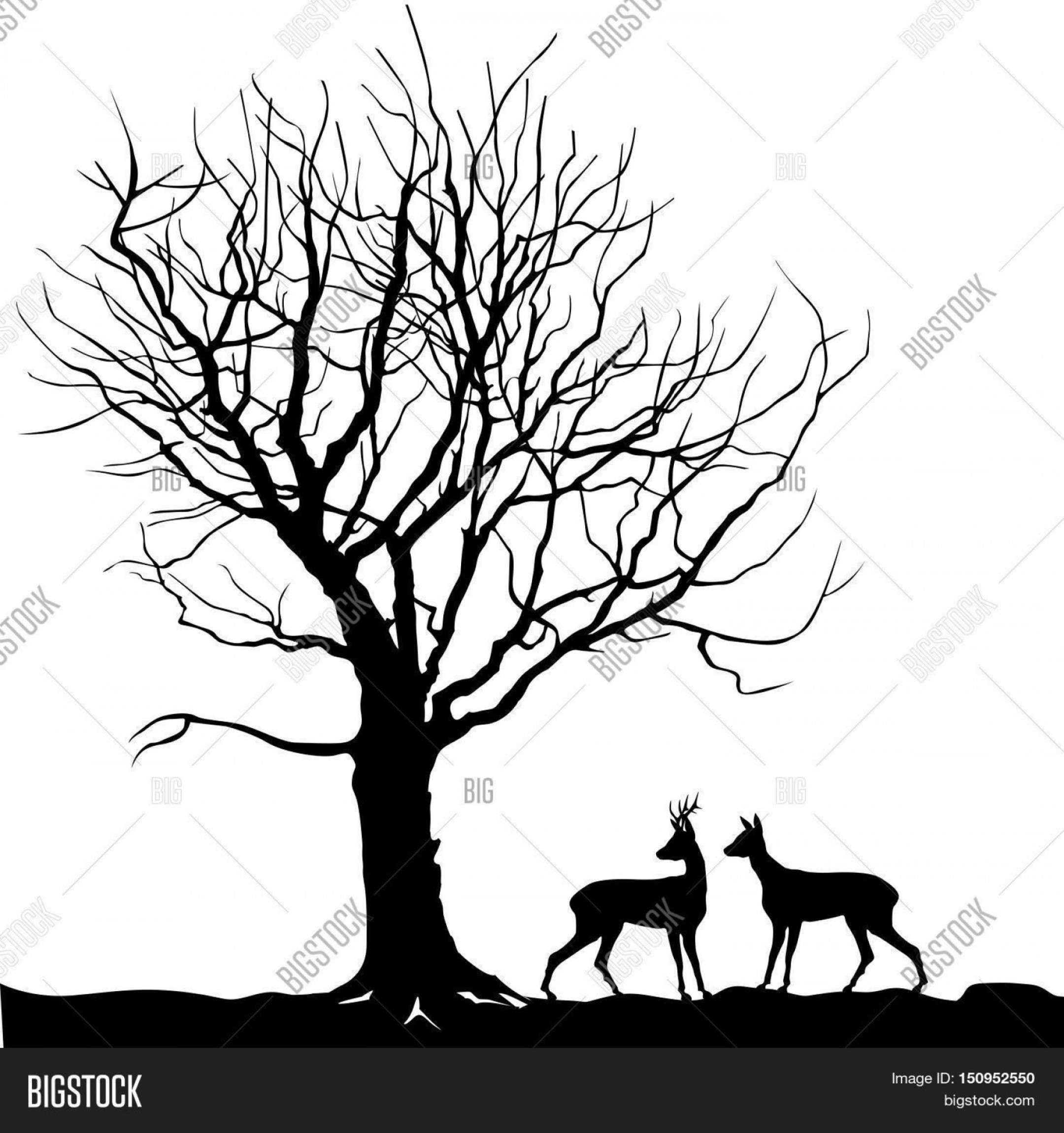 2160x2300 Stock Vector Animal Over Tree Forest Landscape With Deer Winter