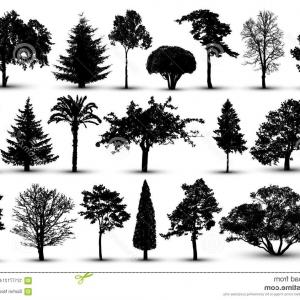 300x300 Tree Silhouette Forest Vector Nature Park Isolated Set White