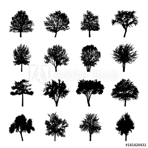 500x500 Black Tree Silhouettes Nature Forest Vector Illustration