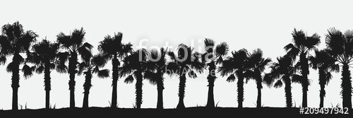 500x167 Silhouette Of Palm Trees On The Beach Jungle Forest Vector