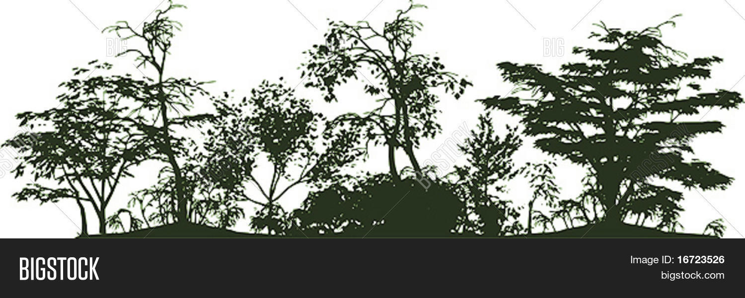 1500x600 The Deep Forest Vector Silhouette Image