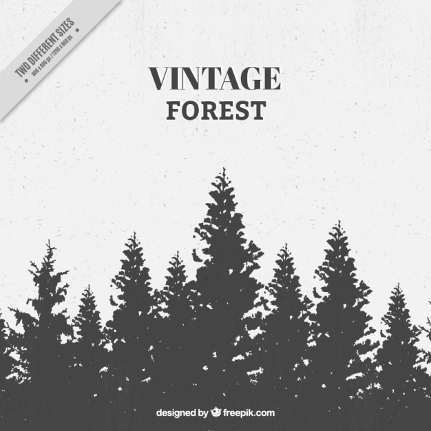 626x626 Forest Silhouette Vectors, Photos And Free Download