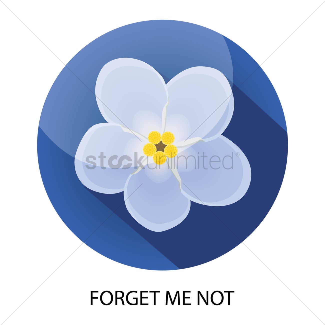 Forget Me Not Flower Vector Image 1300x1300 Forget Me Not Flower Vector Image