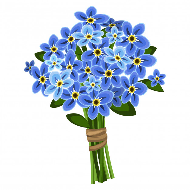 Forget Me Not Flower Vector Premium Download 626x626 Forget Me Not Flower Vector Premium Download