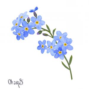 Branch Of Blue Forget Me Not Flowers Vector Createmepink 300x300 Branch Of Blue Forget Me Not Flowers Vector Createmepink