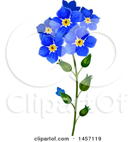 Forget Me Not Clipart Look At Clip Art Images 450x470 Forget Me Not Clipart Look At Clip Art Images