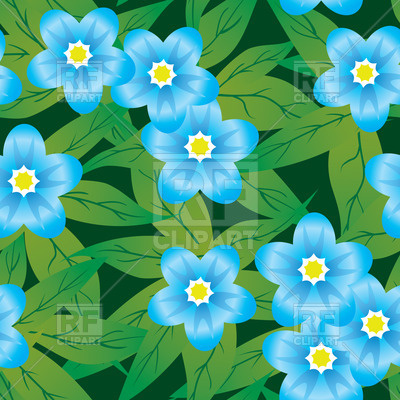 Forget Me Not Vector