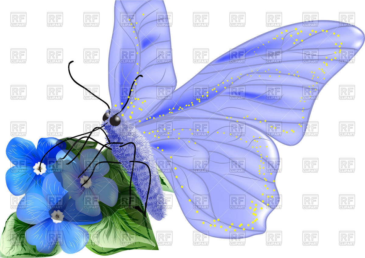 1200x849 Blue Butterfly Pollinating Flower