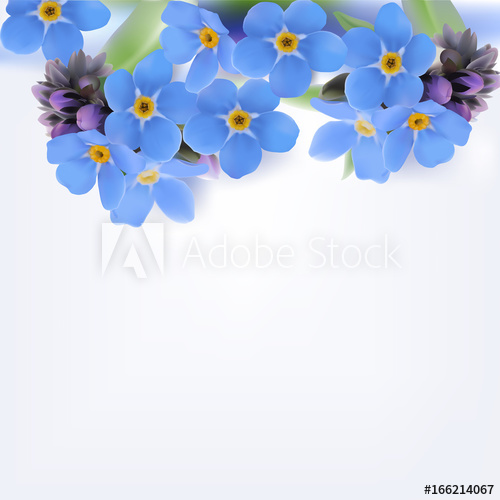 500x500 Forget Me Not Vector Background Hand Drawn Illustration Of Blue