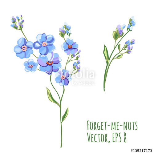 500x500 Set Of Blue Flowers And Buds, Forget Me Not, Stem And Leaves