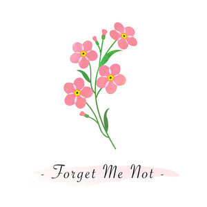300x300 Forget Me Not Royalty Free Vectors