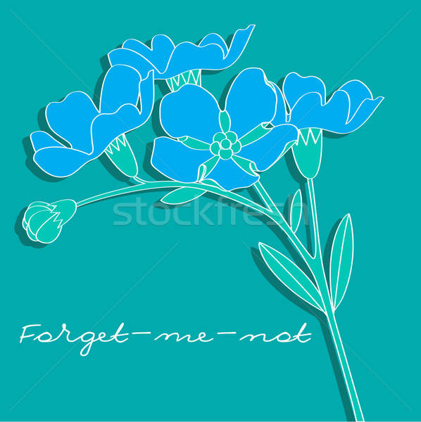 598x600 Forget Me Not Vector Illustration Yulia Mayevska