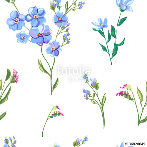 500x500 Forget Me Not Flowers Drawing