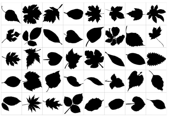 573x395 Siluetas De Hojas En Formato Vectorial Design Intervention