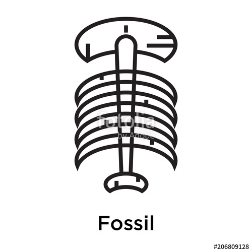 Fossil Icon Vector Sign And Symbol Isolated On White Background 500x500 Fossil Icon Vector Sign And Symbol Isolated On White Background