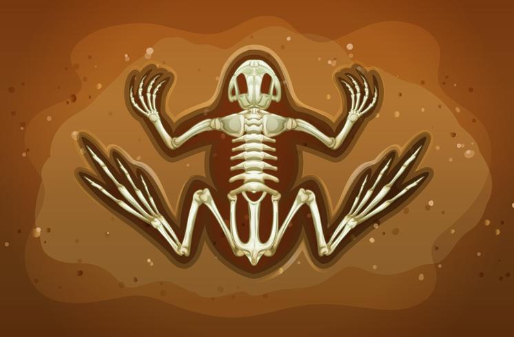 746x490 Fossil Vector