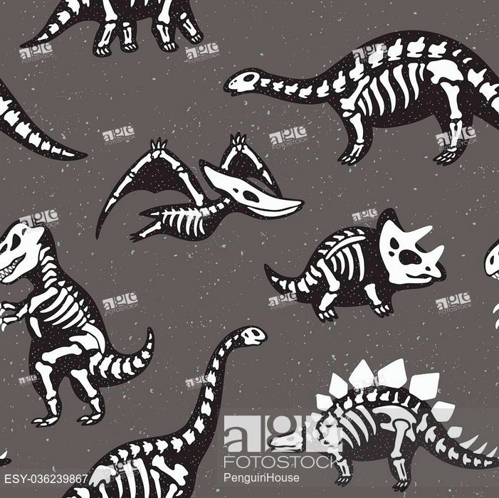 701x700 Funny Sketchy Fossil Dinosaurs Background Cartoon Fossil