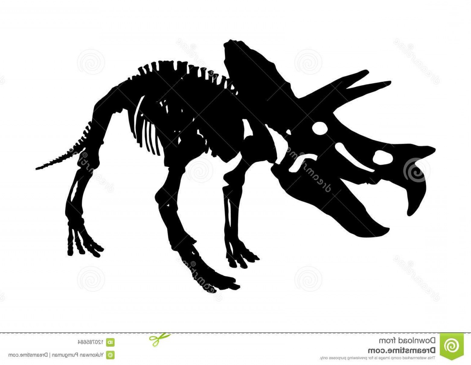 1560x1210 Isolated Triceratops Dinosaur Skeleton Fossil Vector Isolated