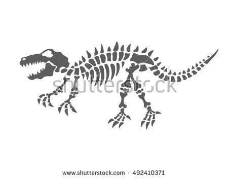 450x353 Dinosaur Skeleton Vector Illustration The Fossil Dinosaur