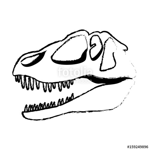 500x500 Dinosaur Skull Predator Ancient Fossil Vector Illustration Stock