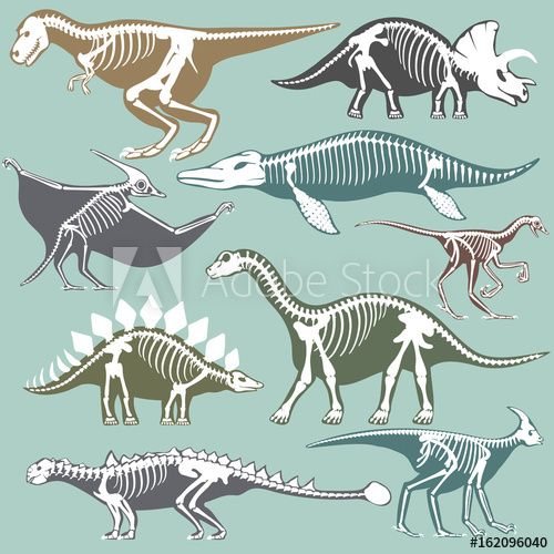 500x500 Dinosaurs Skeletons Silhouettes Set Fossil Bone Tyrannosaurus
