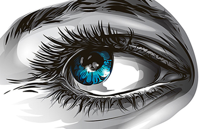 725x450 Create A Complete Vector Illustration Send Your Work