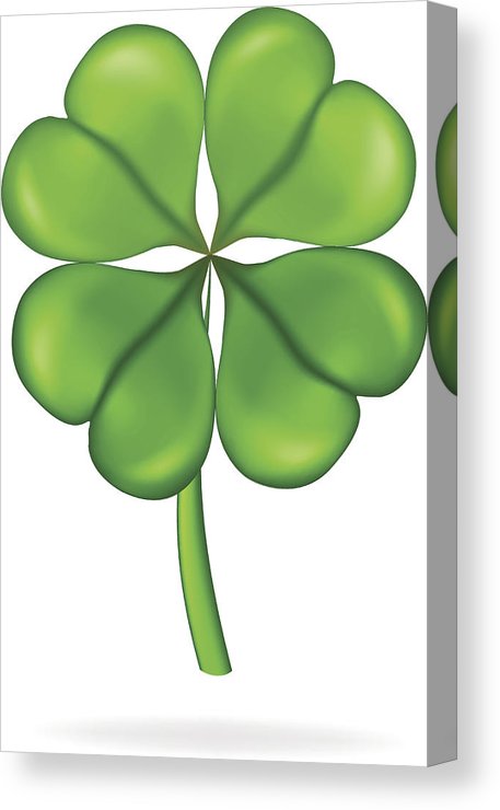 457x740 Four Leaf Clover Vector Illustration St Patrick's Day Symbol