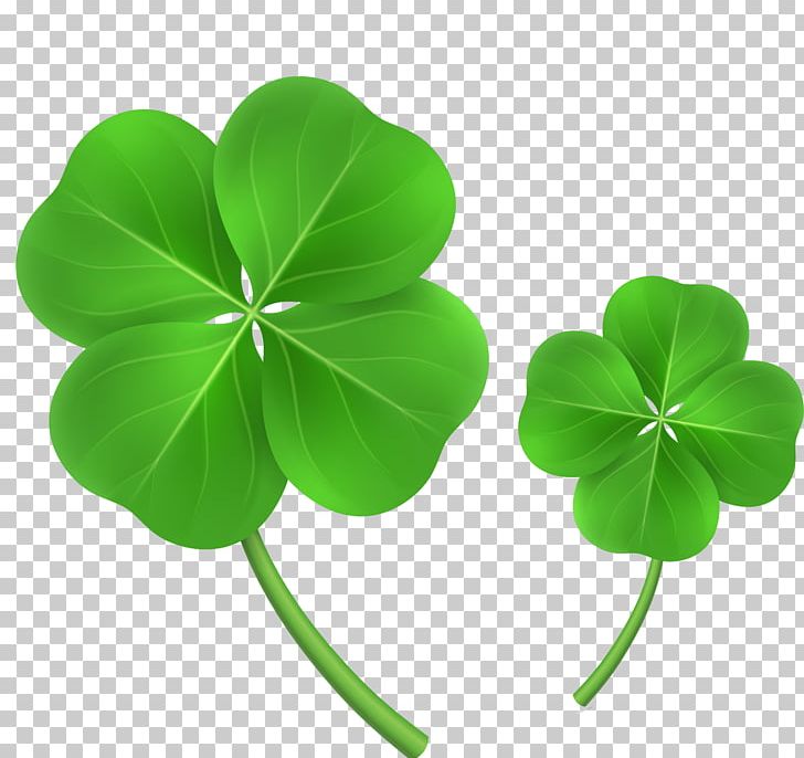 728x686 White Clover Four Leaf Clover Shamrock Png, Clipart, Clover Vector