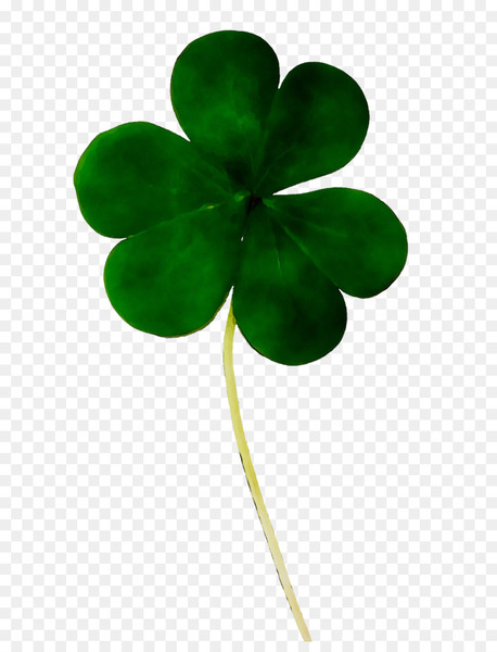 Four Leaf Clover Shamrock Vector Graphics Stock Xchng 458x600 Four Leaf Clover Shamrock Vector Graphics Stock Xchng