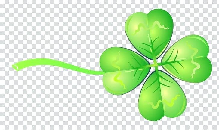 Clover Drawing 728x434 Clover Drawing