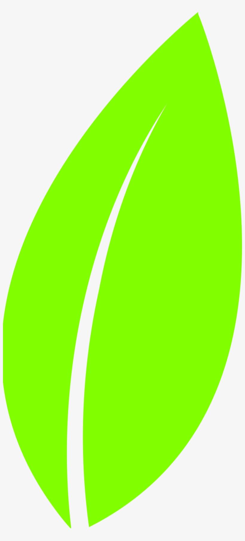 Best Hd Leaf Vector Png Pictures Free Vector Art, Images 820x1809 Best Hd Leaf Vector Png Pictures Free Vector Art, Images