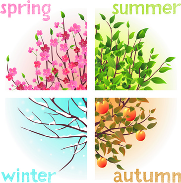 365x368 Four Seasons Tree Free Vector Download
