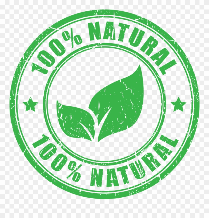 880x920 Checking The Temperature During The Different Seasons