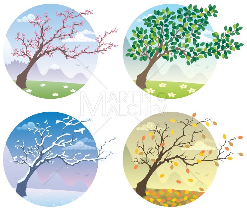 794x680 Four Seasons Vector Cartoon Illustration Season Seasonal Etsy