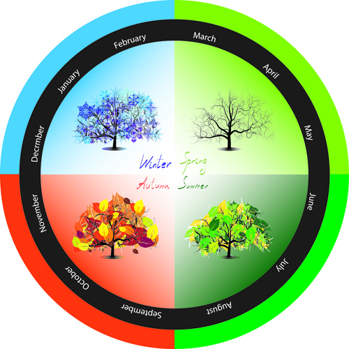 500x500 Tree With Four Seasons Vector Free Vector In Encapsulated
