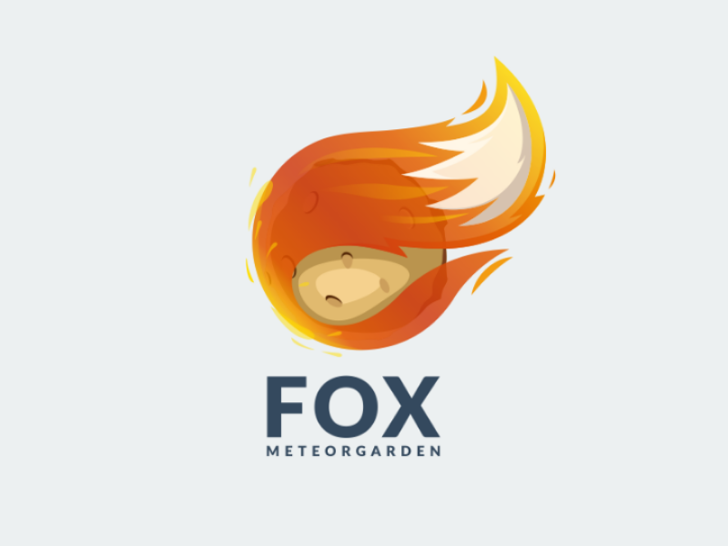 800x600 Meteor Fox