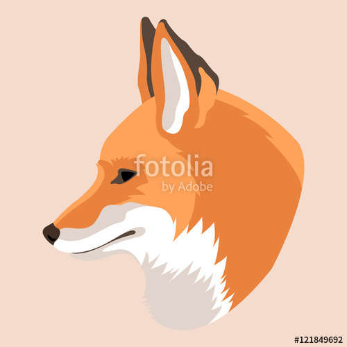 500x500 Fox Head Vector Illustration Style Flat Stock Image And Royalty