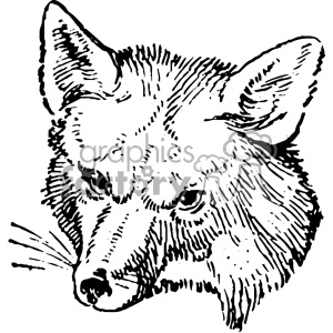 300x300 Vintage Fox Head Vector Vintage Vector Art Gf Clipart