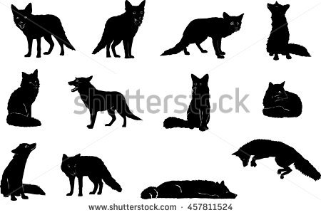450x302 Fox Silhouette Sitting