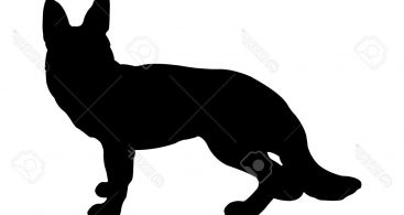 367x195 Fox Silhouette Vector Archives