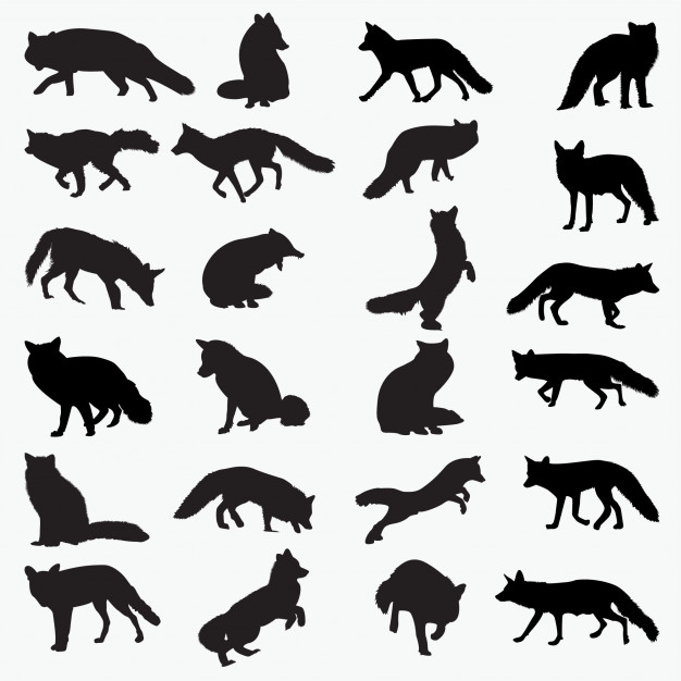 626x626 Fox Silhouettes Vector Premium Download