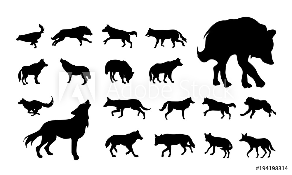 1000x600 Photo Art Print Set Of Various Wolf And Fox Silhouette Vector